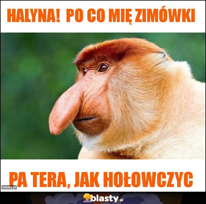 Halyna!  Po co mię zimówki