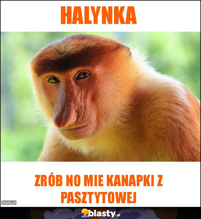 Halynka