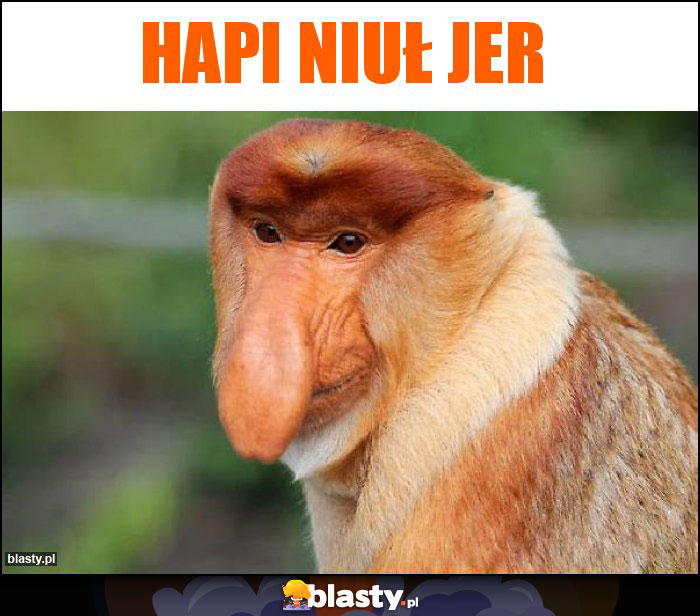 Hapi Niuł Jer