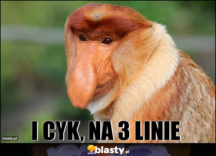 I cyk, na 3 linie