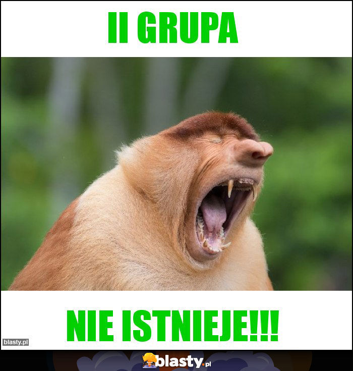 II grupa