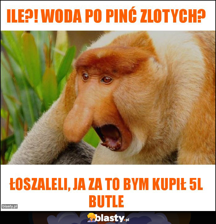 Ile?! Woda po pinć zlotych?