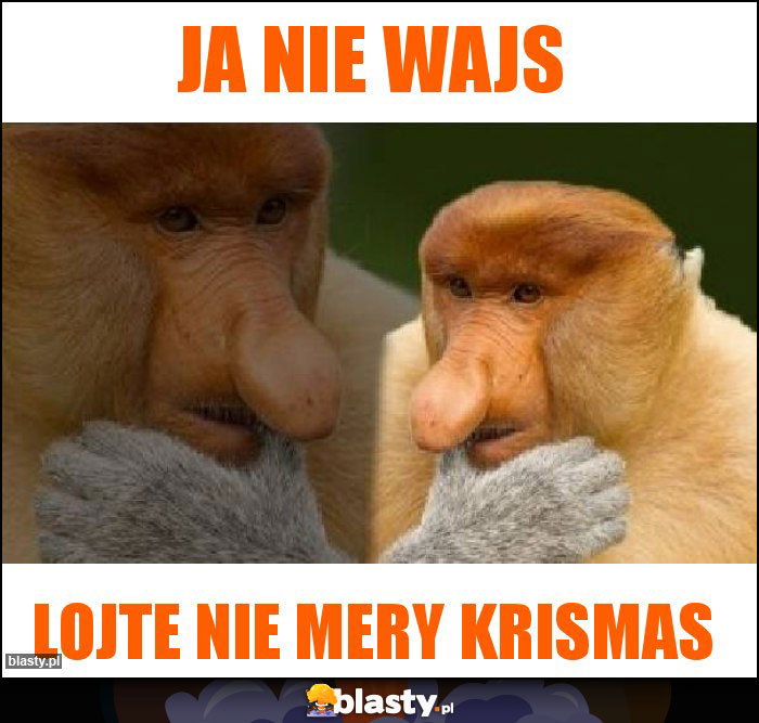 Ja nie wajs