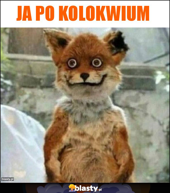 Ja po kolokwium