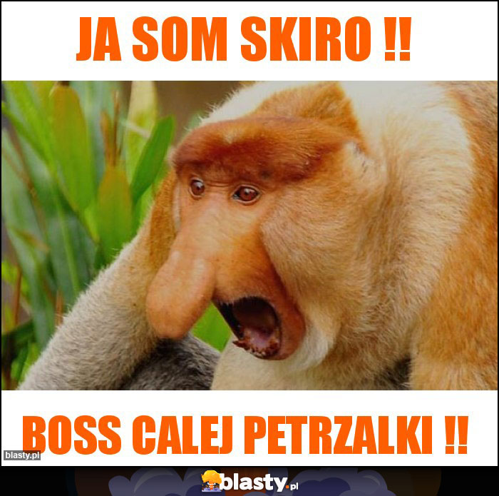 Ja som skiro !!