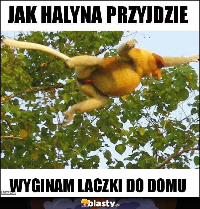 Jak halyna przyjdzie