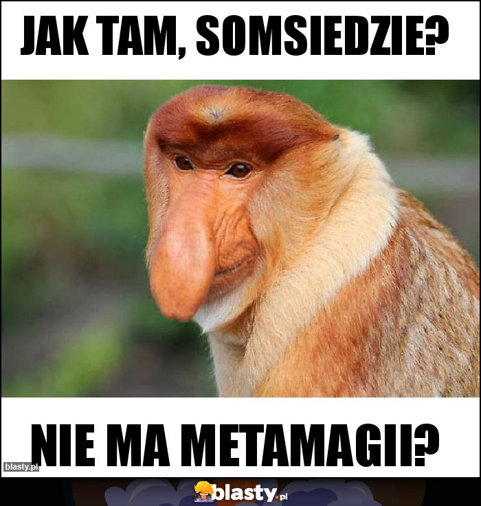 Jak tam, somsiedzie?