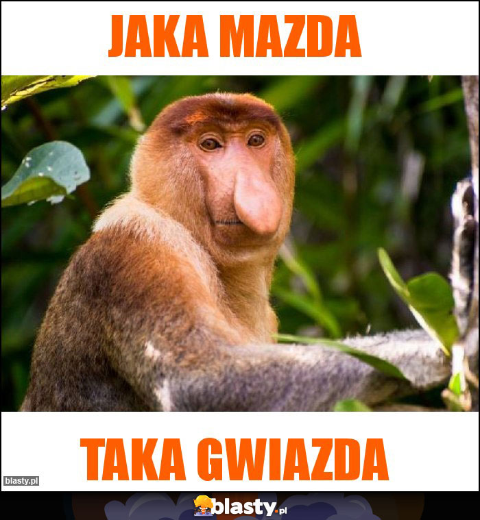 Jaka mazda