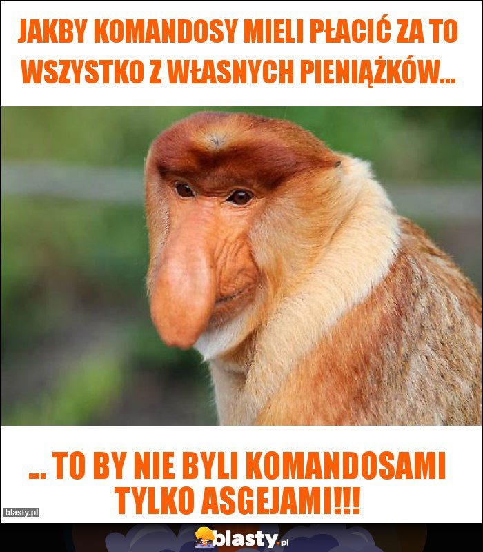 Jakby komandosy mieli płacić za to wszystko z własnych pieniążków...