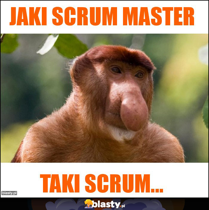 Jaki Scrum Master