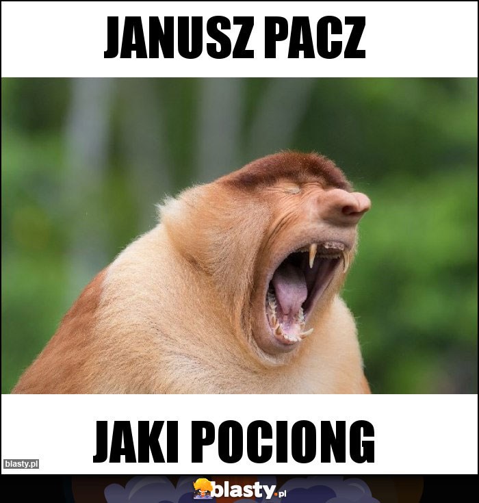 Janusz Pacz