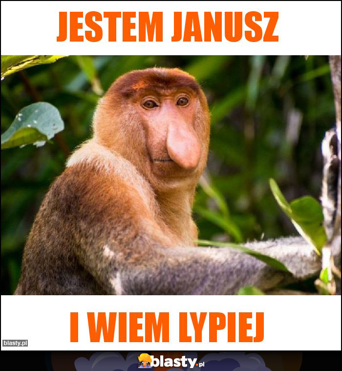 Jestem Janusz