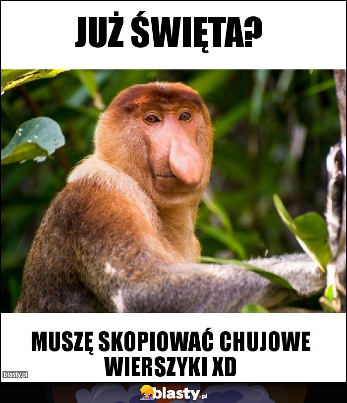 Już święta?