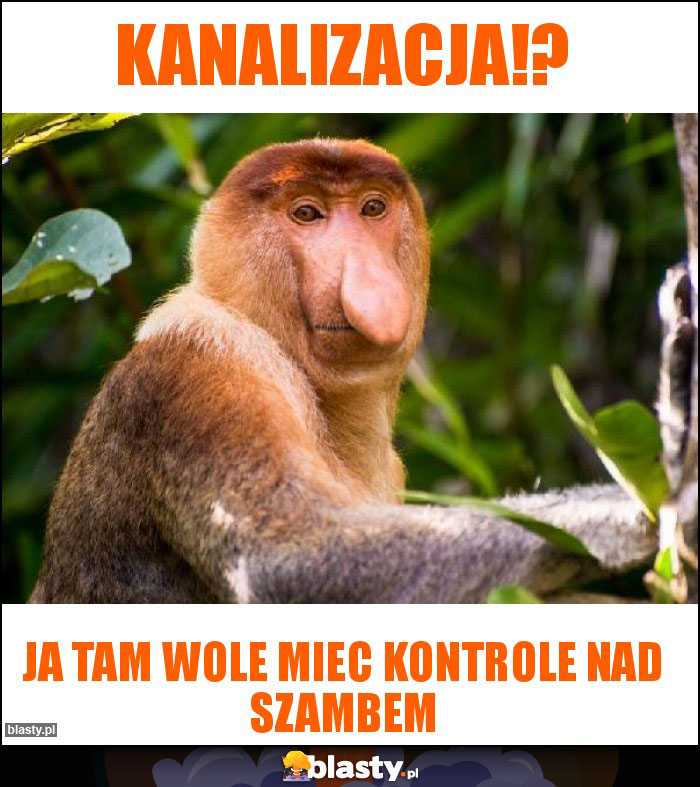 Kanalizacja!?