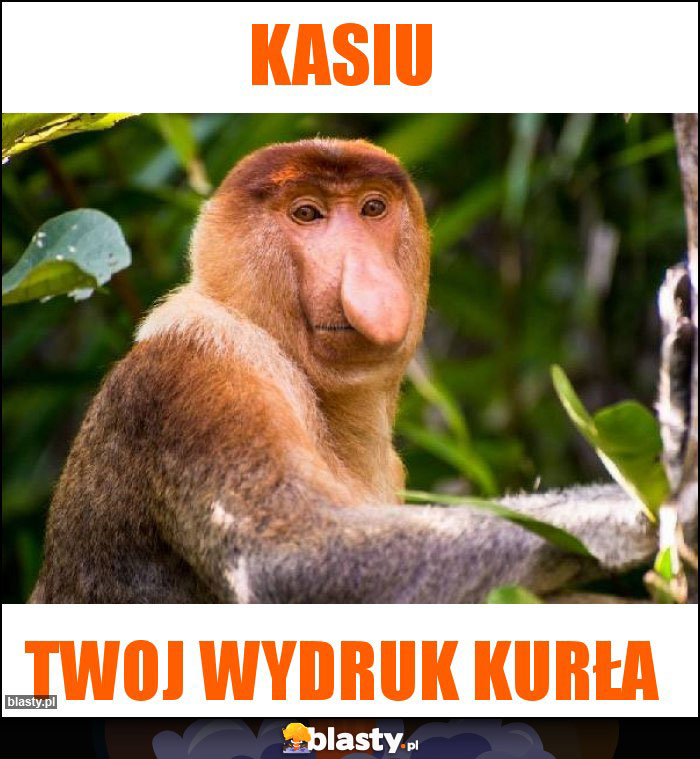 Kasiu