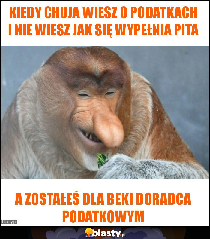 Kiedy chuja wiesz o podatkach i nie wiesz jak się wypełnia pita