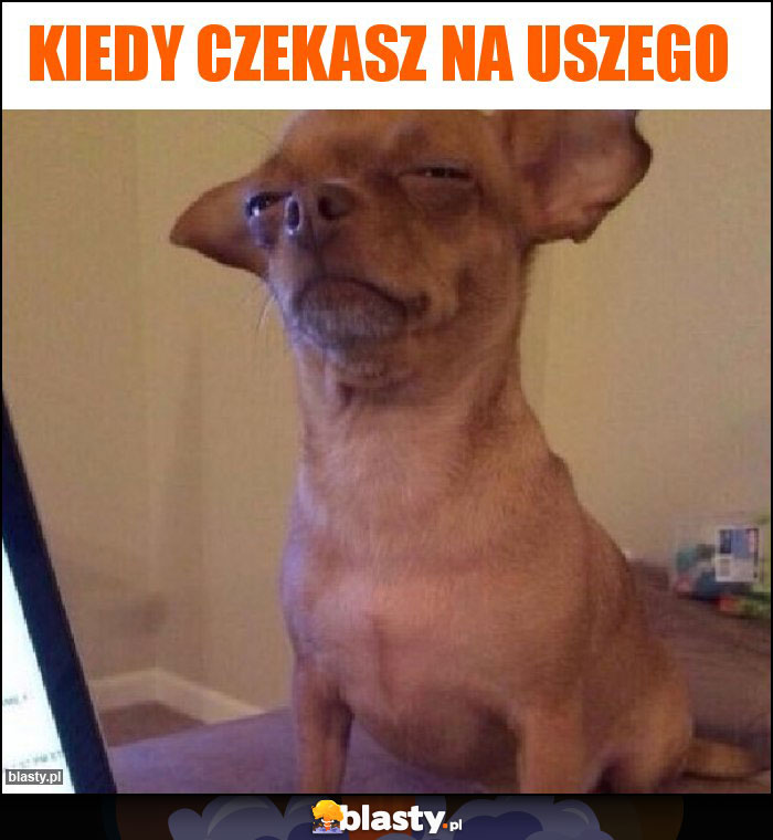 Kiedy czekasz na uszego