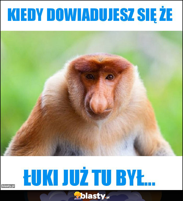 Kiedy dowiadujesz się że