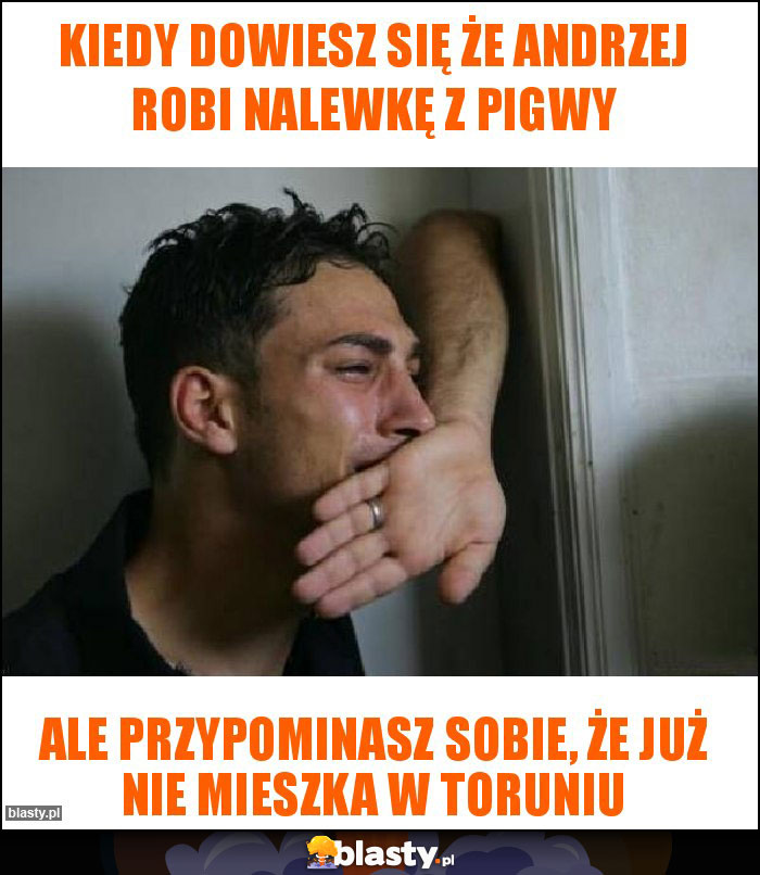 Kiedy dowiesz się że Andrzej robi nalewkę z pigwy