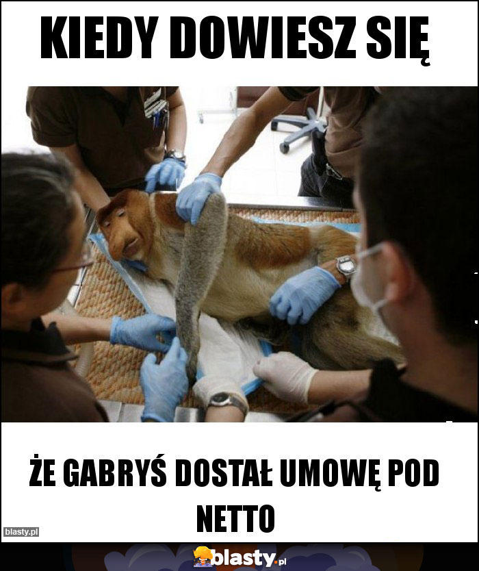 Kiedy Dowiesz Się