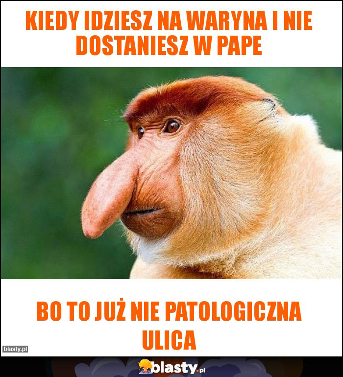 Kiedy idziesz na waryna i nie dostaniesz w pape