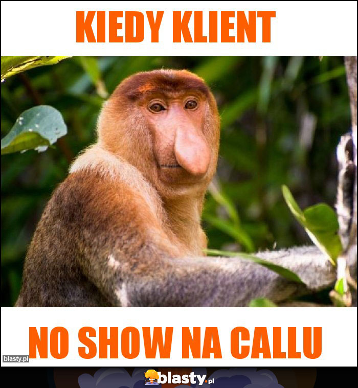 Kiedy klient