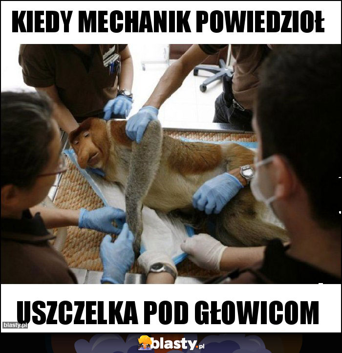 KIEDY MECHANIK POWIEDZIOŁ