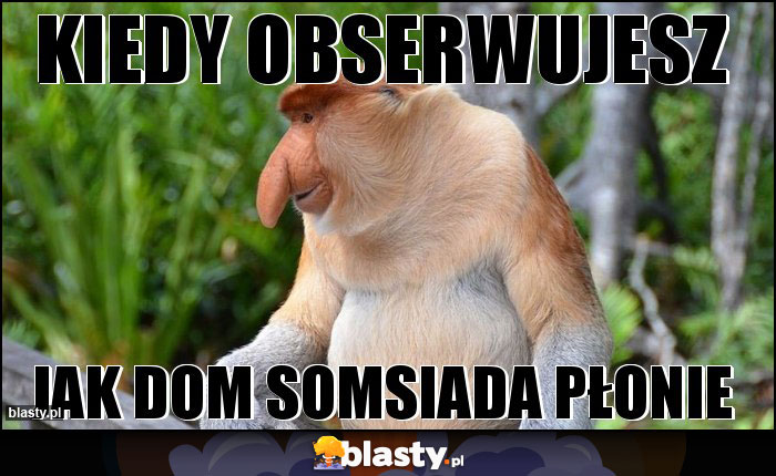 Kiedy obserwujesz