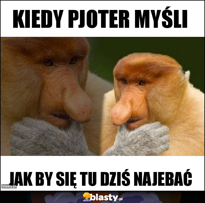 Kiedy pjoter myśli