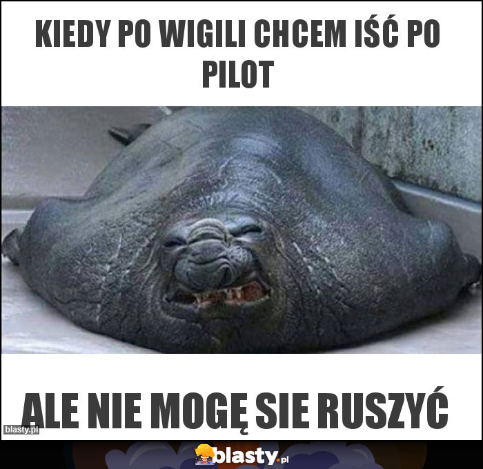 Kiedy po wigili chcem iść po pilot