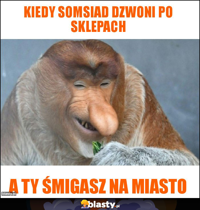 Kiedy somsiad dzwoni po sklepach