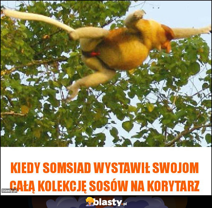 Kiedy somsiad wystawił swojom całą kolekcję sosów na korytarz