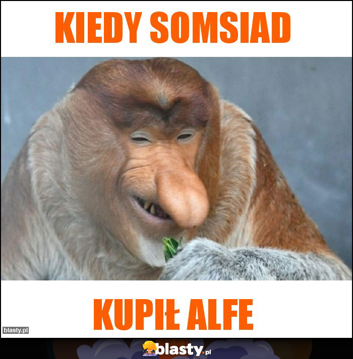 Kiedy somsiad