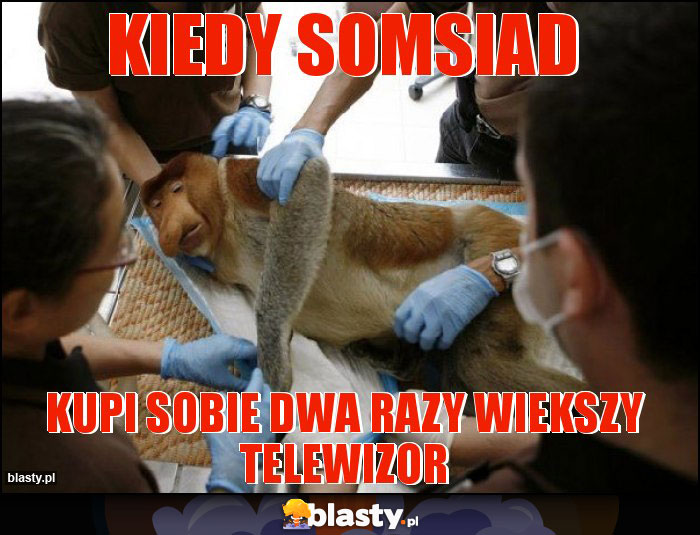 Kiedy somsiad