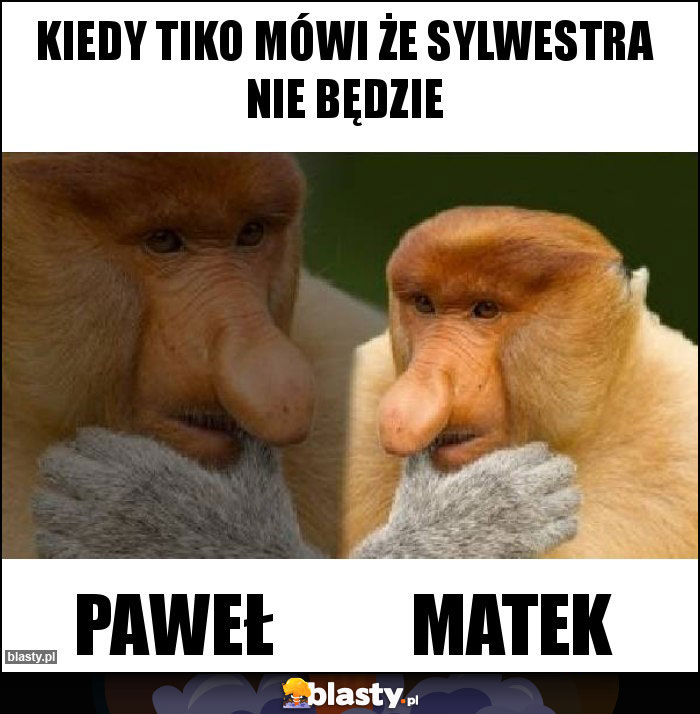 Kiedy Tiko mówi że sylwestra nie będzie