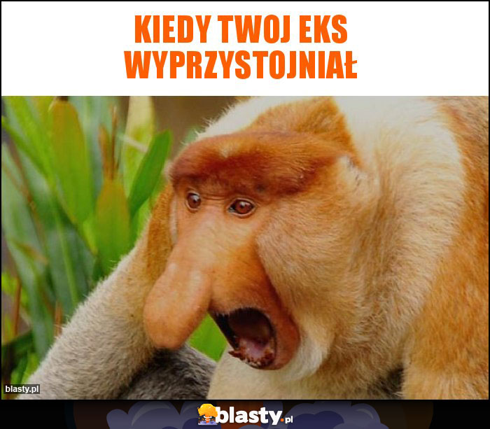 Kiedy twoj eks wyprzystojniał