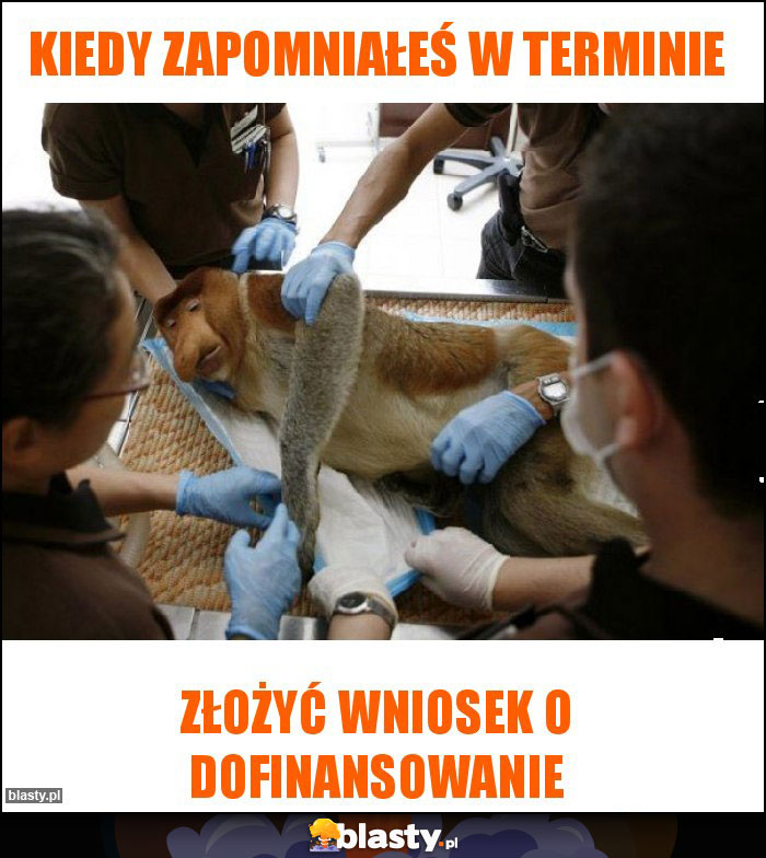 Kiedy zapomniałeś w terminie