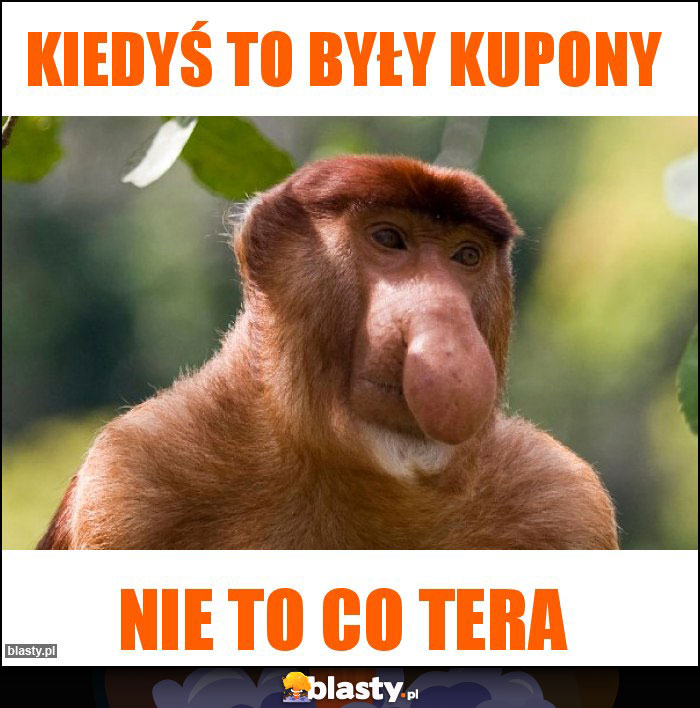 Kiedyś to były kupony