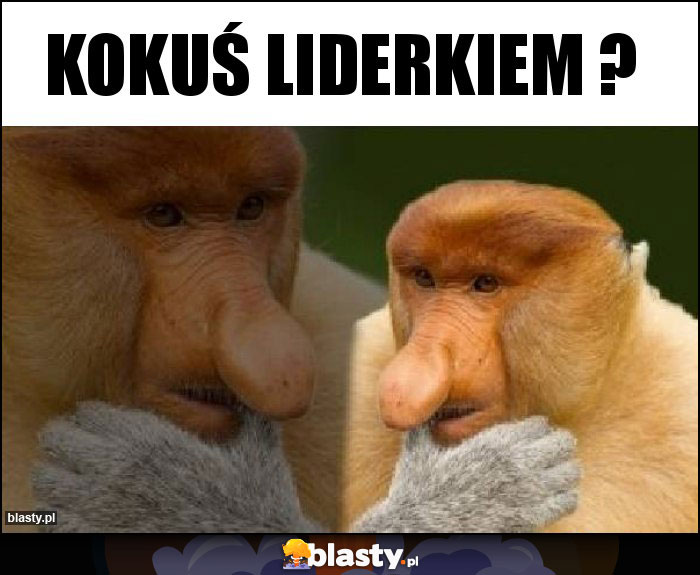 Kokuś liderkiem ?