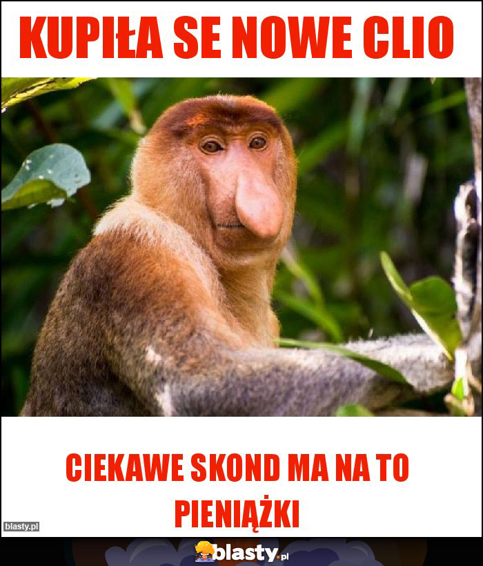 Kupiła se nowe clio