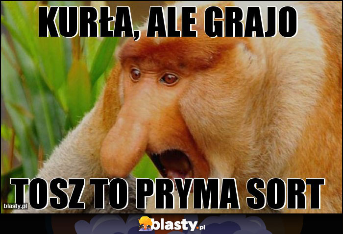 Kurła, ale grajo