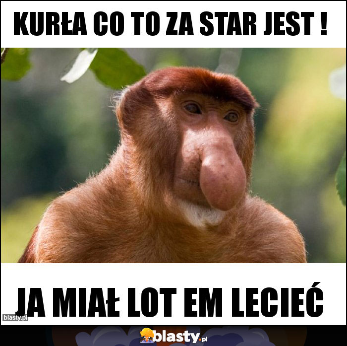 Kurła co to za star jest !