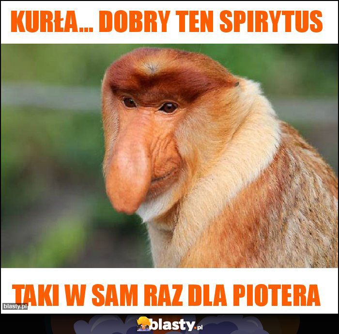 Kurła... Dobry ten spirytus