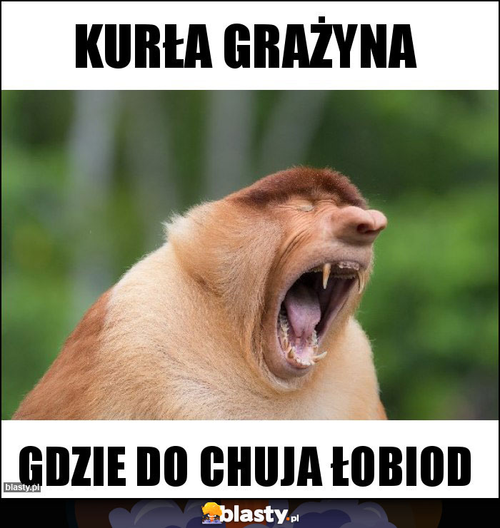 Kurła Grażyna