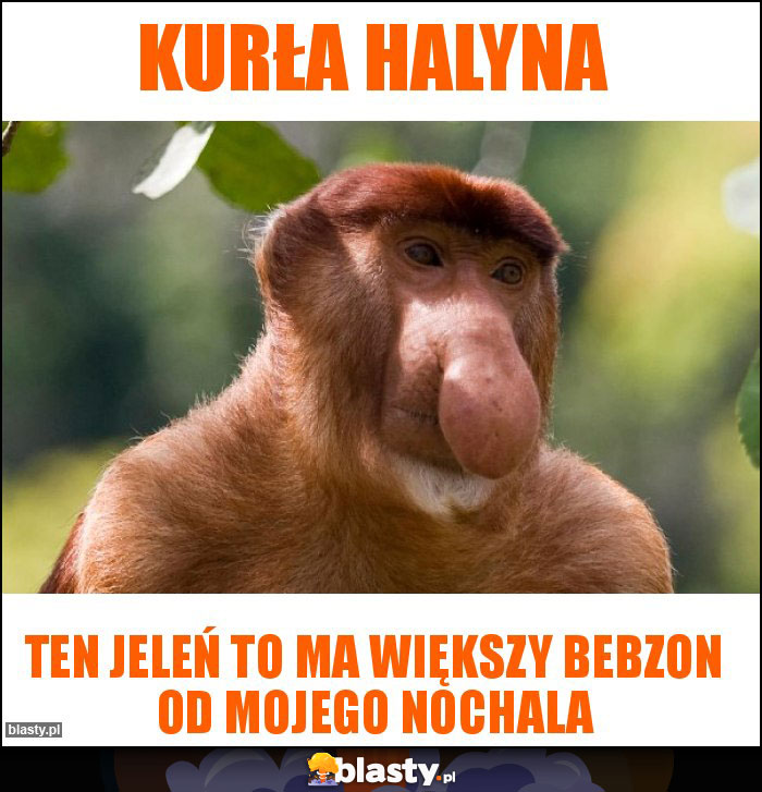 Kurła Halyna