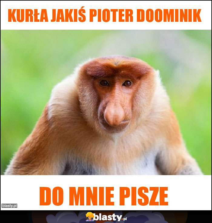 Kurła jakiś pioter doominik