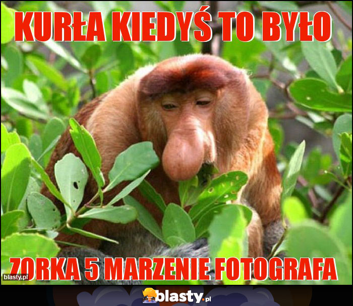 KURŁA KIEDYŚ TO BYŁO