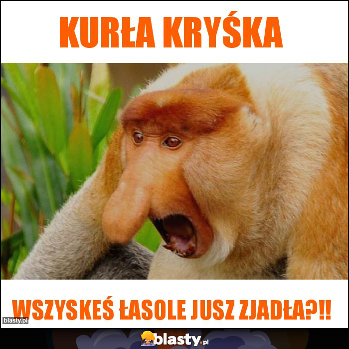 Kurła Kryśka