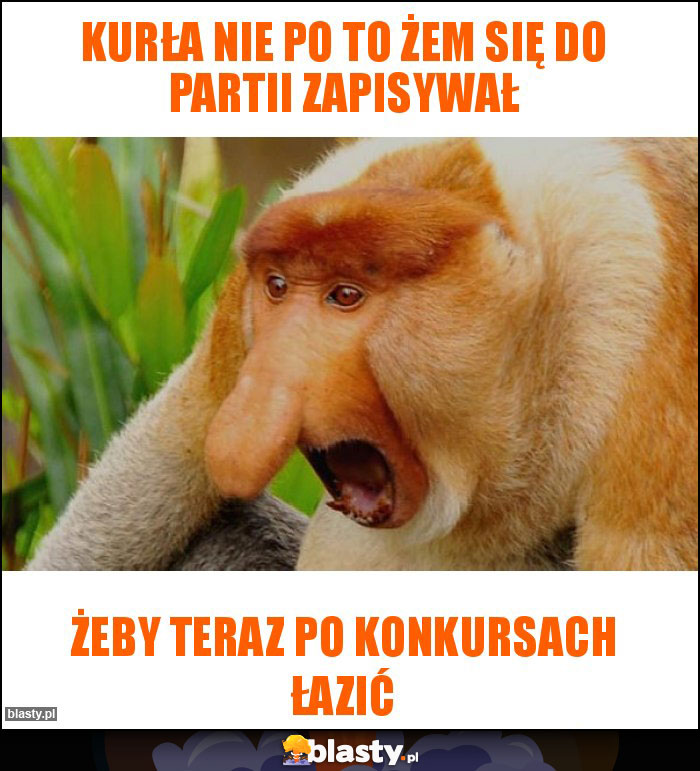 Kurła nie po to żem się do partii zapisywał