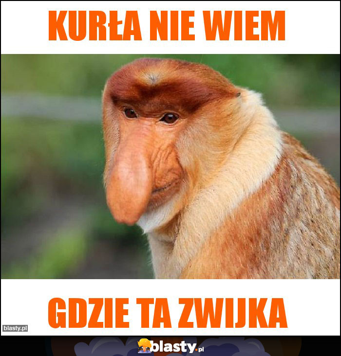 KURŁA NIE WIEM